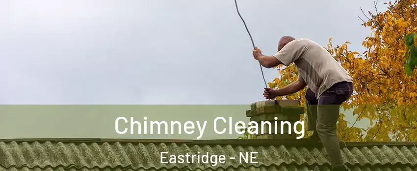 Chimney Cleaning Eastridge - NE