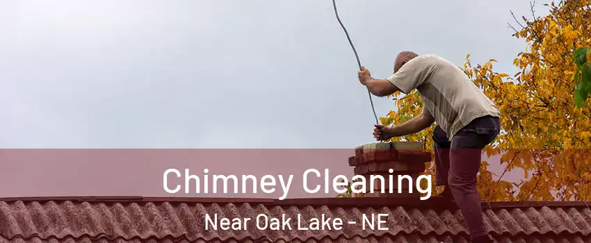 Chimney Cleaning Near Oak Lake - NE