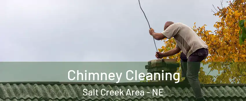 Chimney Cleaning Salt Creek Area - NE