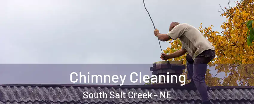 Chimney Cleaning South Salt Creek - NE