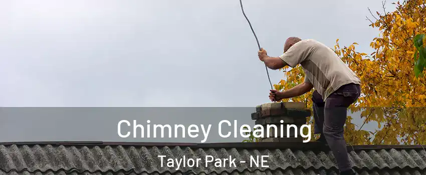Chimney Cleaning Taylor Park - NE
