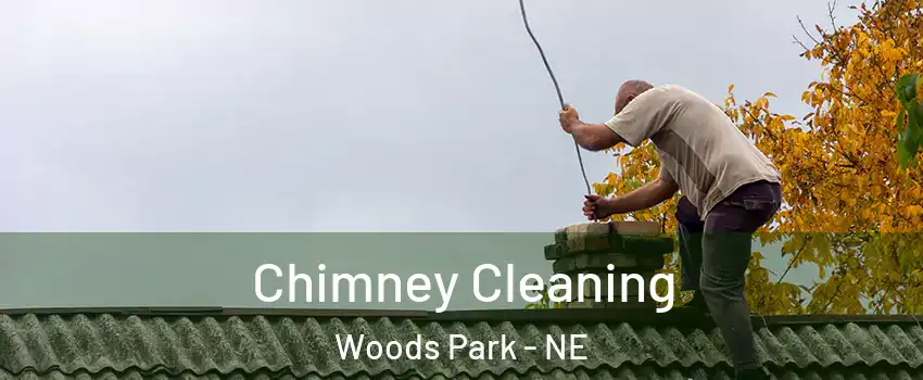 Chimney Cleaning Woods Park - NE