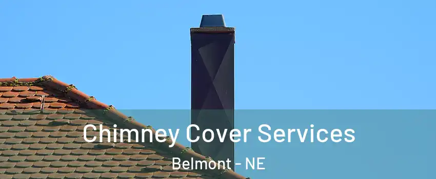 Chimney Cover Services Belmont - NE