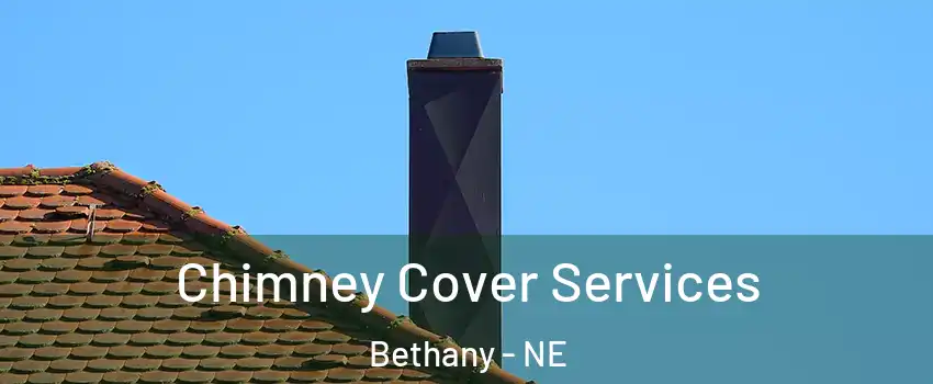 Chimney Cover Services Bethany - NE
