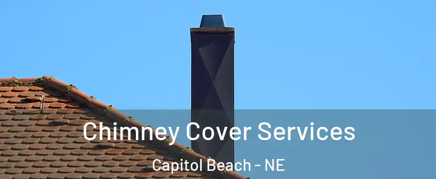 Chimney Cover Services Capitol Beach - NE
