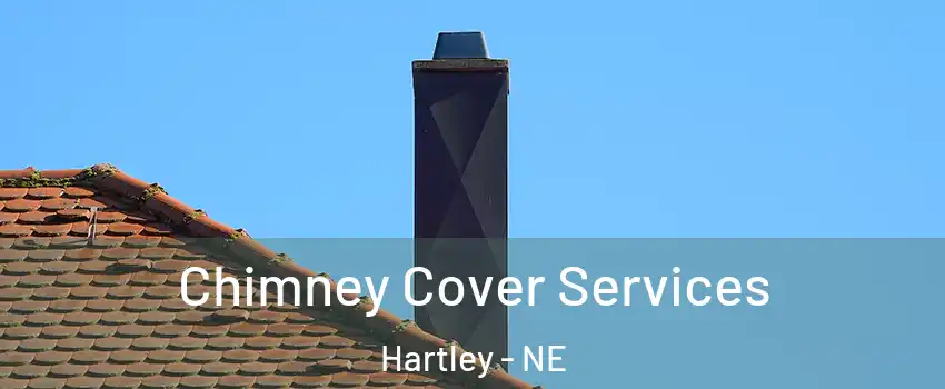 Chimney Cover Services Hartley - NE