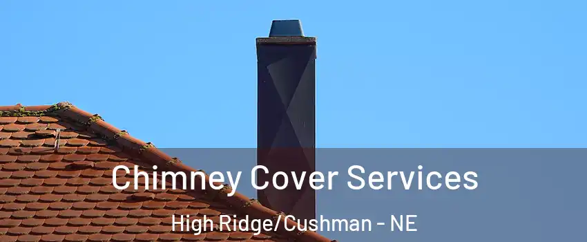 Chimney Cover Services High Ridge/Cushman - NE