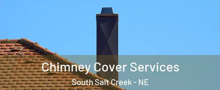 Chimney Cover Services South Salt Creek - NE