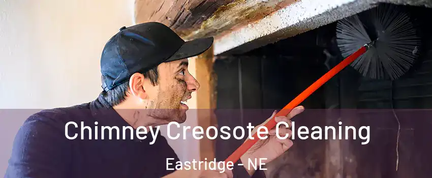 Chimney Creosote Cleaning Eastridge - NE
