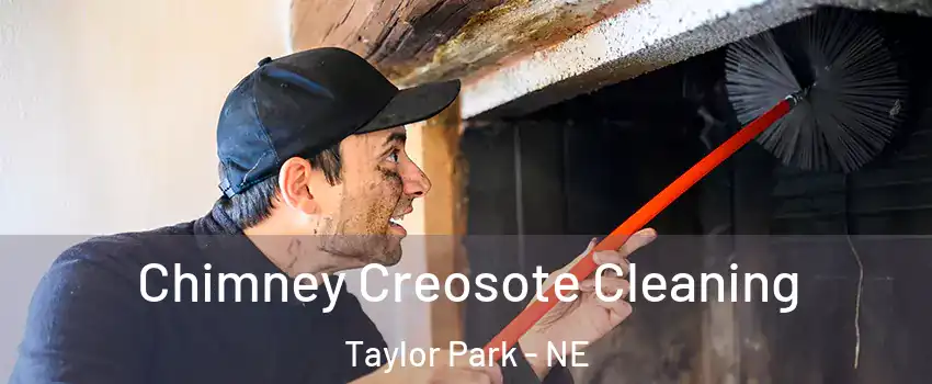 Chimney Creosote Cleaning Taylor Park - NE