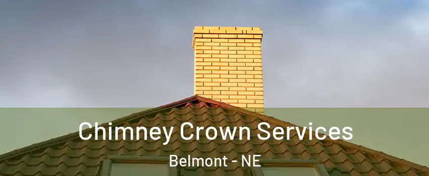 Chimney Crown Services Belmont - NE