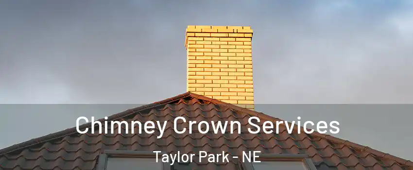 Chimney Crown Services Taylor Park - NE