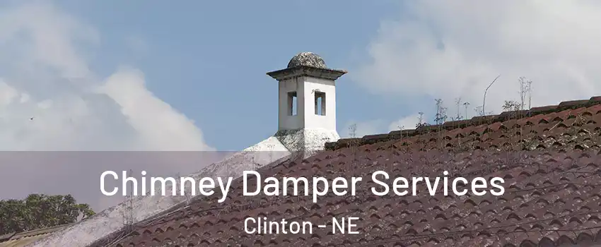 Chimney Damper Services Clinton - NE