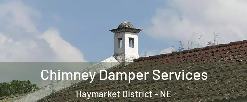 Chimney Damper Services Haymarket District - NE