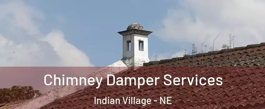 Chimney Damper Services Indian Village - NE