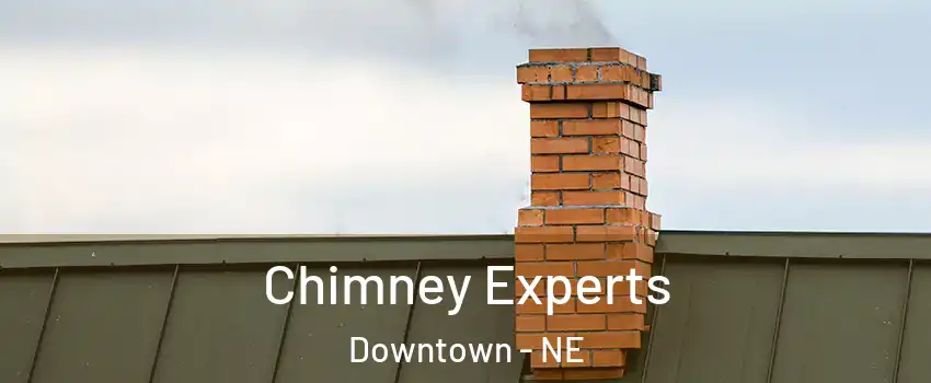 Chimney Experts Downtown - NE