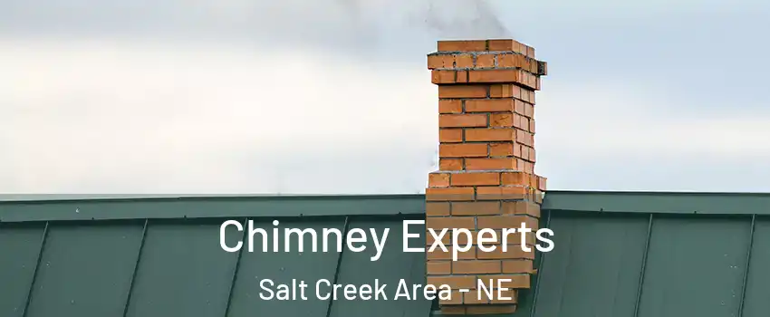 Chimney Experts Salt Creek Area - NE
