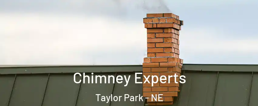 Chimney Experts Taylor Park - NE