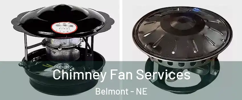 Chimney Fan Services Belmont - NE