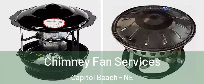 Chimney Fan Services Capitol Beach - NE