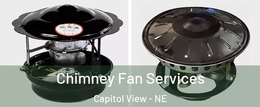Chimney Fan Services Capitol View - NE