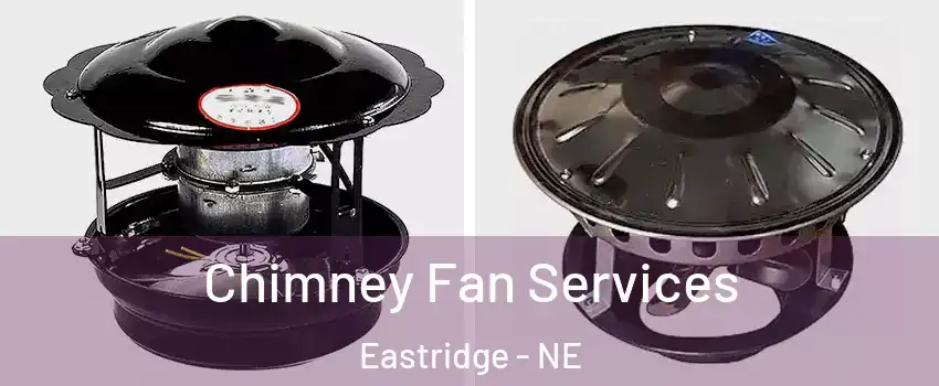 Chimney Fan Services Eastridge - NE