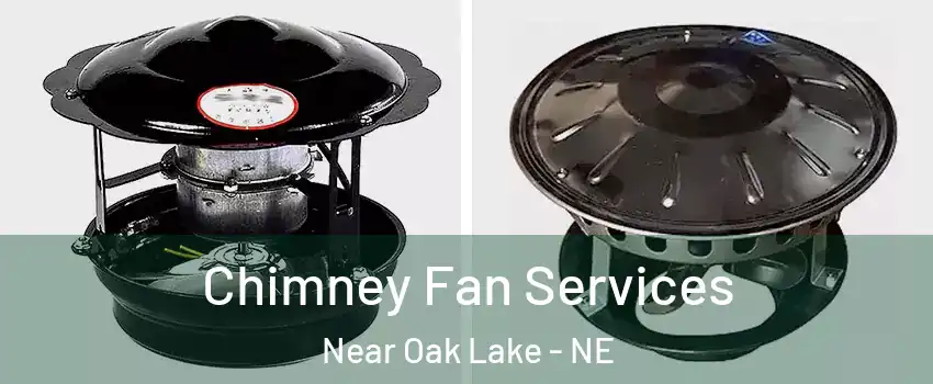 Chimney Fan Services Near Oak Lake - NE