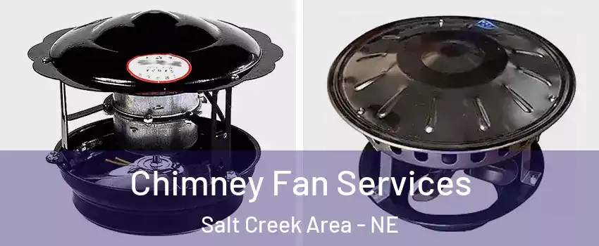 Chimney Fan Services Salt Creek Area - NE