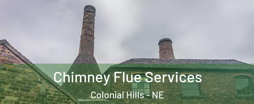 Chimney Flue Services Colonial Hills - NE