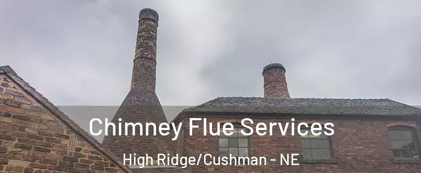 Chimney Flue Services High Ridge/Cushman - NE