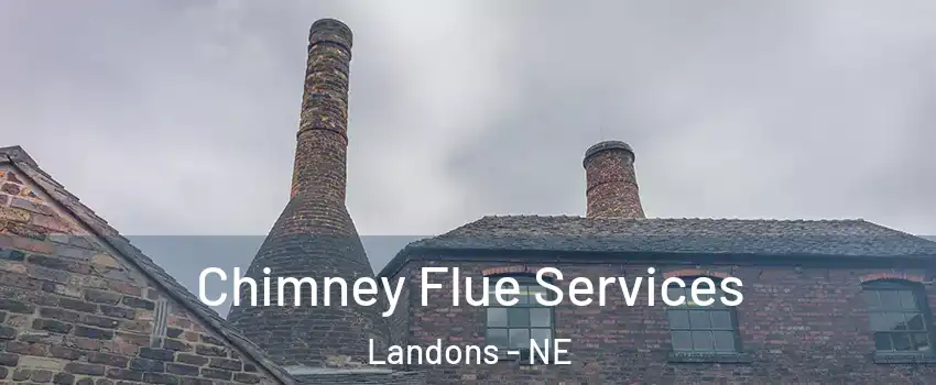 Chimney Flue Services Landons - NE