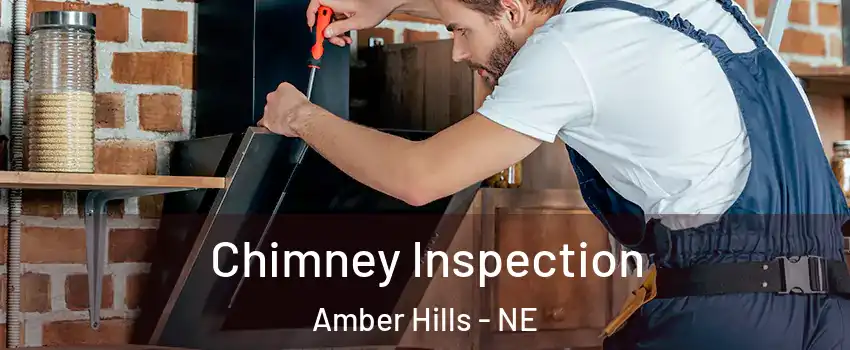Chimney Inspection Amber Hills - NE