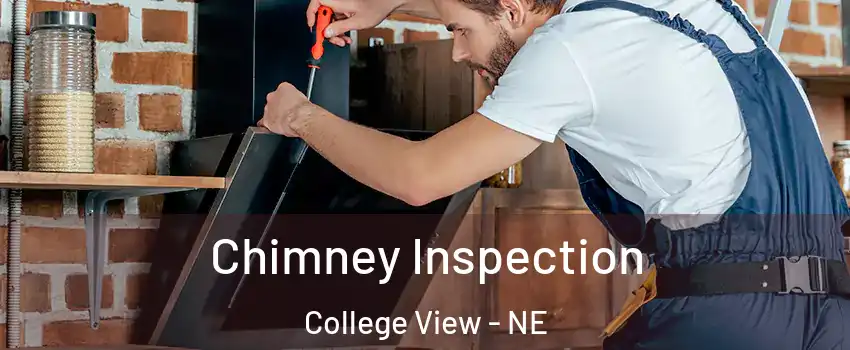 Chimney Inspection College View - NE