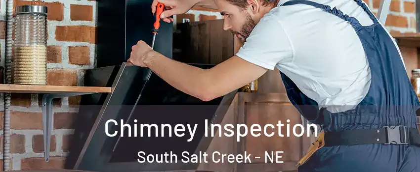 Chimney Inspection South Salt Creek - NE