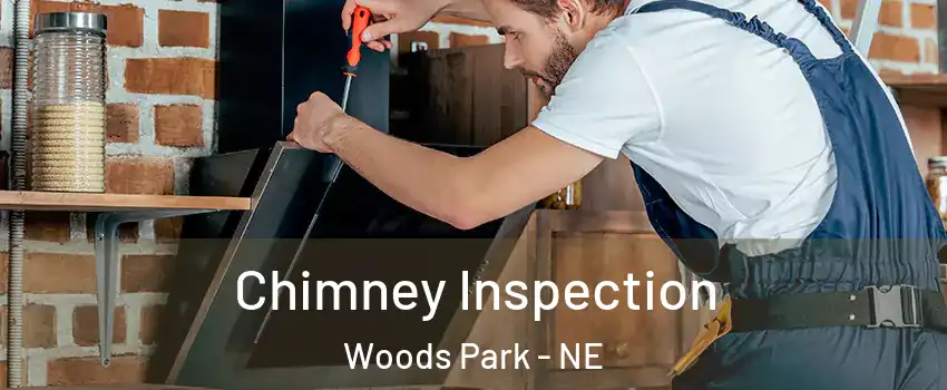 Chimney Inspection Woods Park - NE
