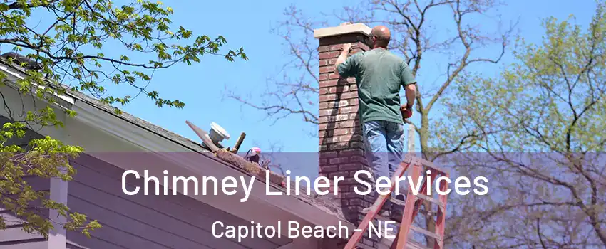 Chimney Liner Services Capitol Beach - NE