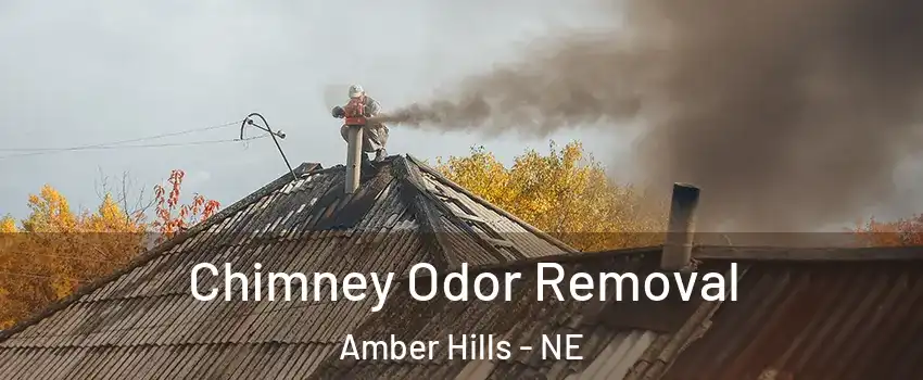Chimney Odor Removal Amber Hills - NE