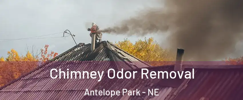 Chimney Odor Removal Antelope Park - NE