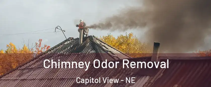 Chimney Odor Removal Capitol View - NE