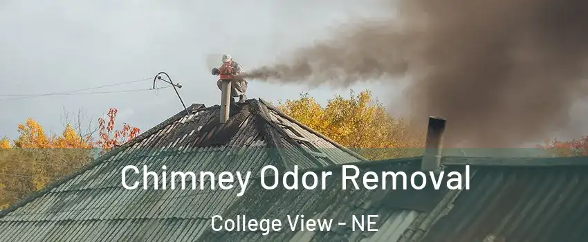 Chimney Odor Removal College View - NE