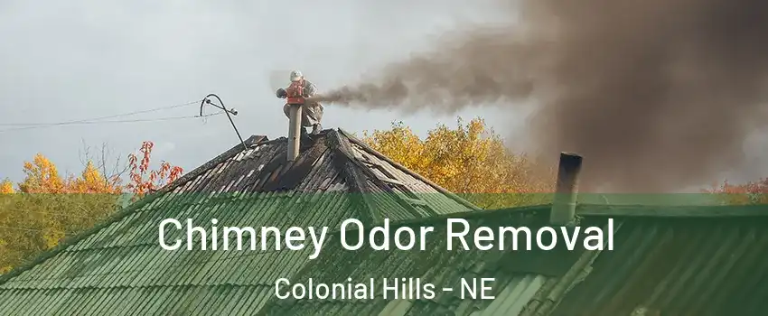 Chimney Odor Removal Colonial Hills - NE