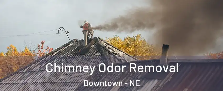 Chimney Odor Removal Downtown - NE