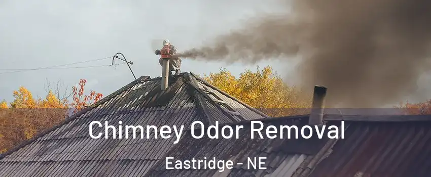 Chimney Odor Removal Eastridge - NE