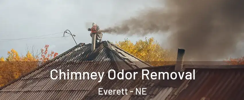 Chimney Odor Removal Everett - NE