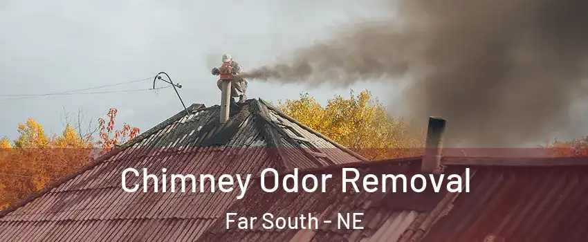 Chimney Odor Removal Far South - NE
