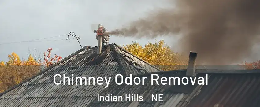 Chimney Odor Removal Indian Hills - NE