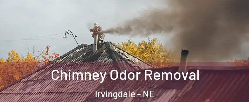 Chimney Odor Removal Irvingdale - NE