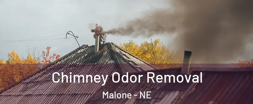 Chimney Odor Removal Malone - NE