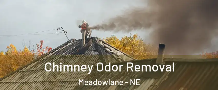 Chimney Odor Removal Meadowlane - NE