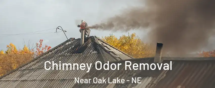 Chimney Odor Removal Near Oak Lake - NE